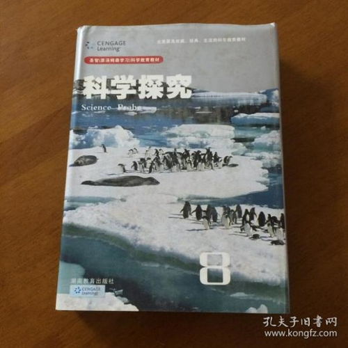湖南省教育出版社黄永华，其教育理念与实践探索之谜？