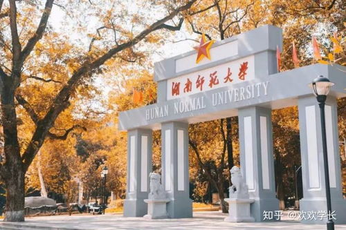 湖南师大文学系与教育系，哪一系更具培养潜力？