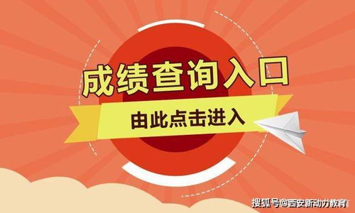 湖南美术教育深亮团队评价如何？