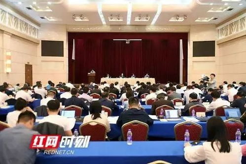 湖南省教育厅重大项目，哪些项目值得关注？