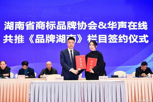 湖南三人行教育质量如何？