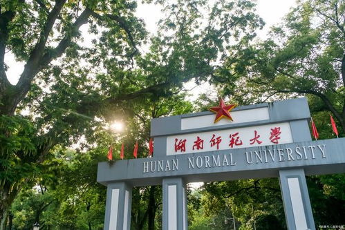 湖南师大小学教育学位证，获取条件揭秘？