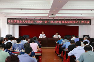 湖南省教育厅两学一做如何推进？