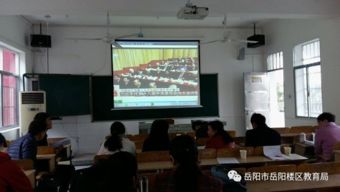 湖南岳阳楼区教育局官网如何查询学校信息？