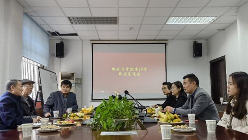 杨敏教授在湖南教育科学学院的研究方向有哪些？