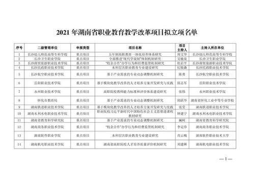 湖南省教育厅项目负责人职责何在？