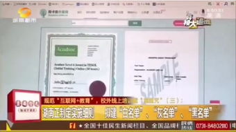 湖南教育台一个月播放量之谜？