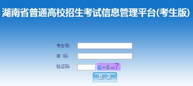 湖南省教育考试院官网何时可查询？