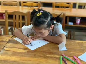 湖南省中小学艺术教育网如何助力艺术教育普及？