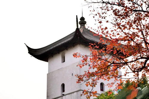湖南学天砺行教育科技，发展如何？
