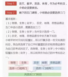 2025湘教会解读，哪些新政策将影响教育？