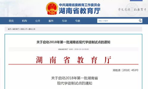 湖南省教育厅学徒制现状如何？