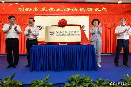 湖南省武冈市教育局官网有何特色？