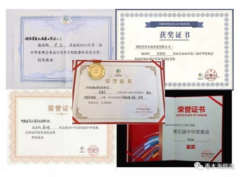 湖南教师资格证，中公教育助力之路？