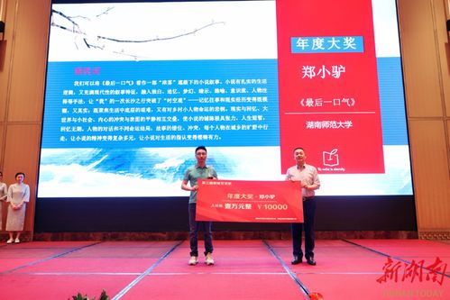湖南师范大学现代教育技术考C，备考策略揭秘？
