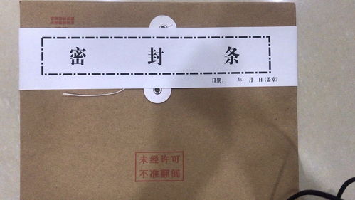 湖南省教育考试院档案袋封条有何特殊之处？