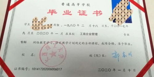 湖南高等教育学信网官网，如何查询学历认证？