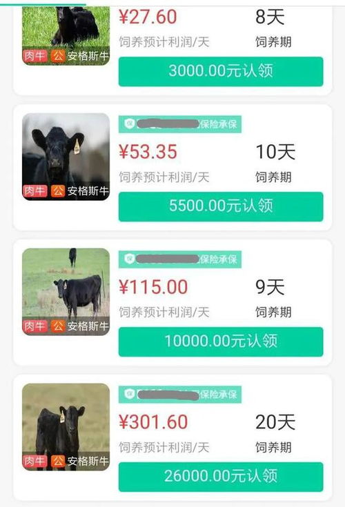 湖南云驰新教育科技涉嫌骗局？