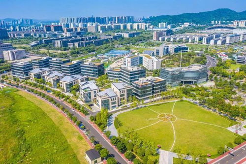 智慧谷教育城在湖南省常德市的发展前景如何？