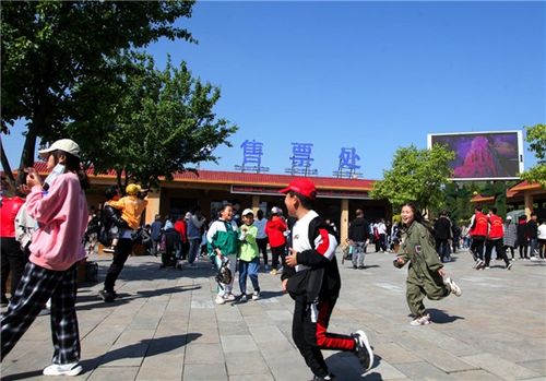 湖南五牛教育公司地址之谜？
